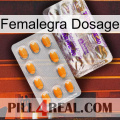 Femalegra Dosage new12